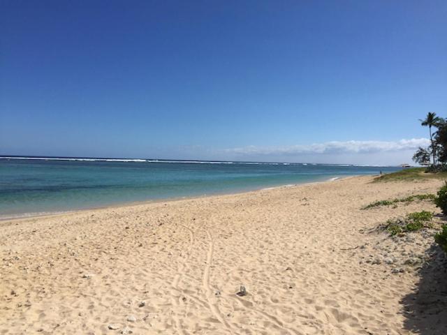 Villa De Charme Proche Plage Et Lagon ラ・サリーヌ・レ・バン エクステリア 写真